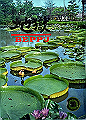 beppu001_thumb.png