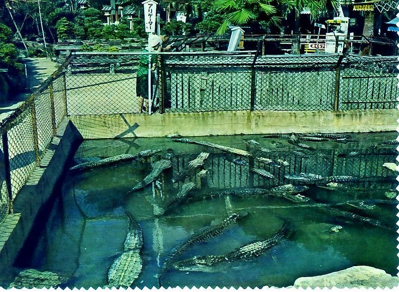 beppu004.jpg