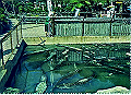 beppu004_thumb.png
