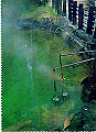 beppu009_thumb.png