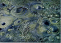 beppu2-004_thumb.png