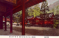 hakone3-03_thumb.png