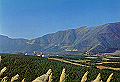 hakone408_thumb.png