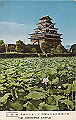 hiroshima01_thumb.png