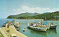 izu02_thumb.png
