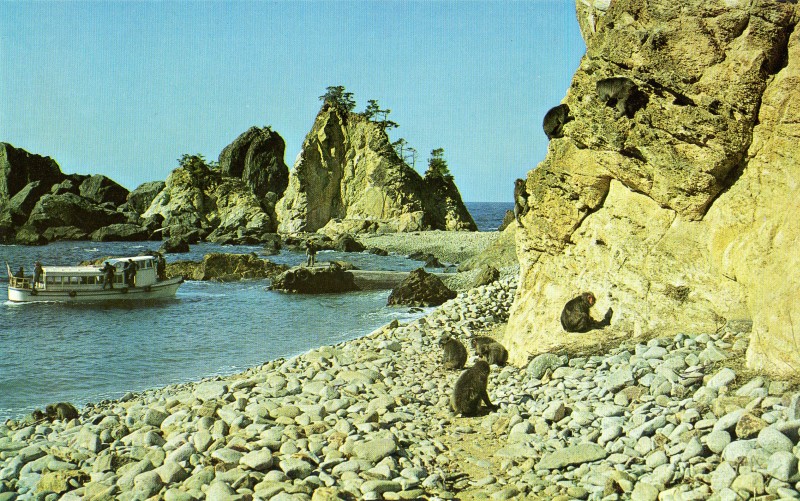 izu07.jpg