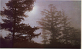 karuizawa03_thumb.png