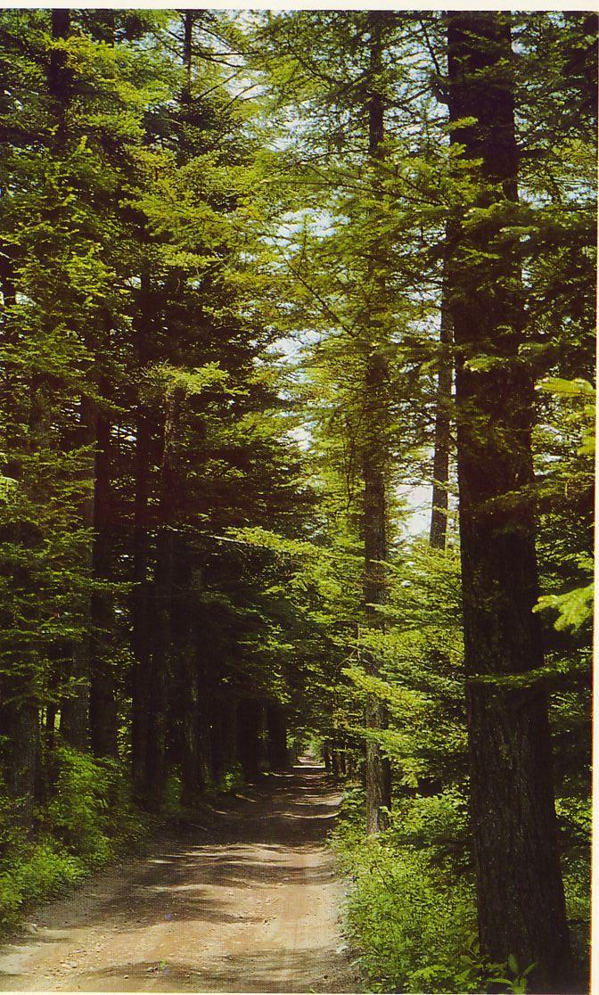 karuizawa05.jpg