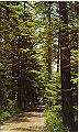 karuizawa05_thumb.png