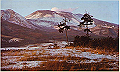 karuizawa07_thumb.png