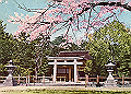 koufu04_thumb.png