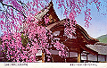 20040808_053005546_thumb.png