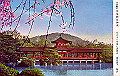 20040808_053114421_thumb.png