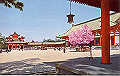 20040808_055452796_thumb.png