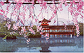 20040808_055530000_thumb.png