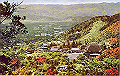 20040808_055603593_thumb.png