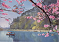 20040809_044857395_thumb.png