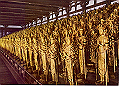20040809_045203269_thumb.png