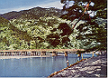 20040809_045504112_thumb.png