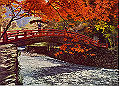 20040809_045543002_thumb.png