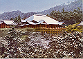 20040809_045655611_thumb.png