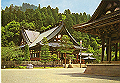 minobusan04_thumb.png