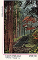 mitakesan04_thumb.png