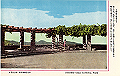 mitakesan06_thumb.png