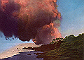 miyake205_thumb.png