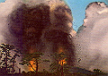 miyake206_thumb.png