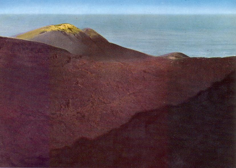 miyake209.jpg
