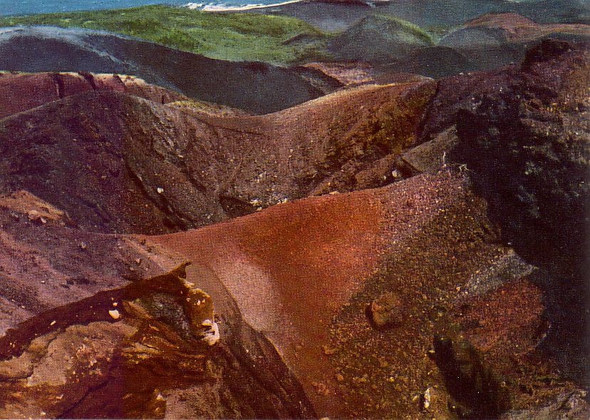 miyake210.jpg