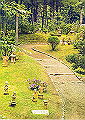 miyazaki05_thumb.png