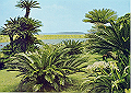 miyazaki07_thumb.png