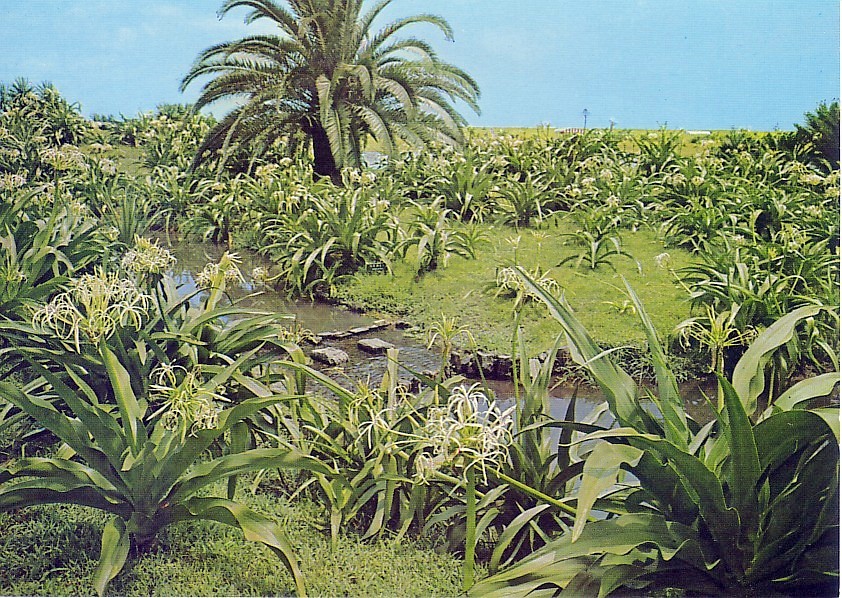 miyazaki08.jpg
