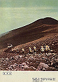 fujisan10_thumb.png