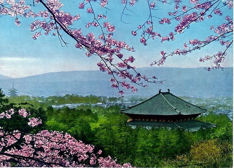 nara02.jpg