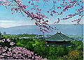 nara02_thumb.png