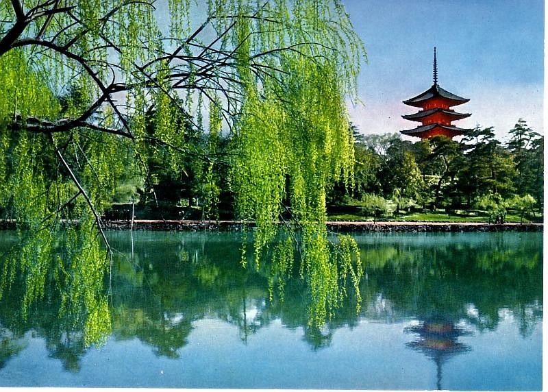 nara04.jpg