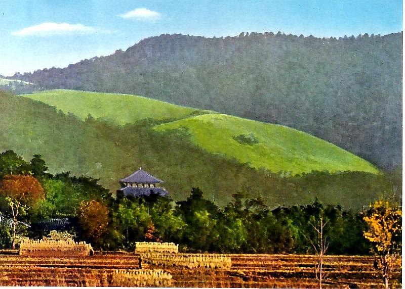 nara05.jpg