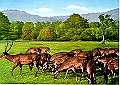 nara06_thumb.png