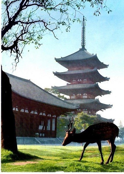 nara08.jpg