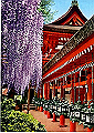 nara10_thumb.png