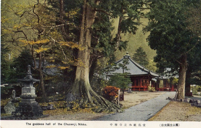 nikko-zenshu02.jpg