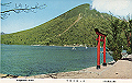 nikko-zenshu07_thumb.png