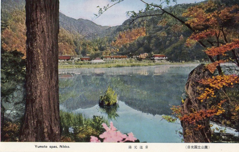 nikko-zenshu08.jpg