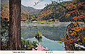 nikko-zenshu08_thumb.png