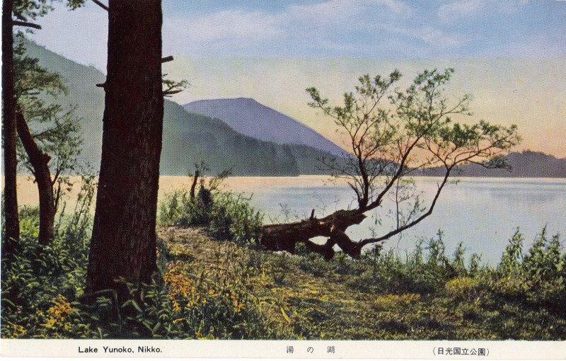 nikko-zenshu10.jpg