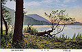 nikko-zenshu10_thumb.png