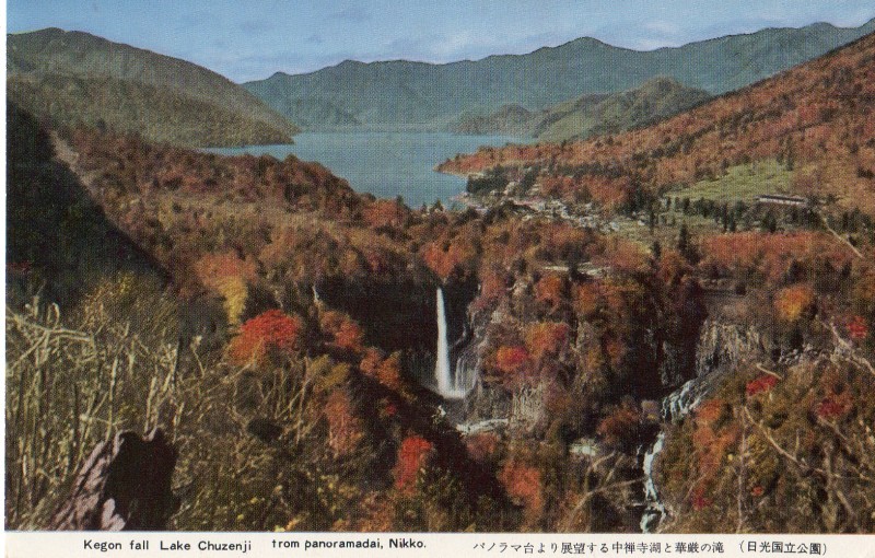 nikko-zenshu11.jpg